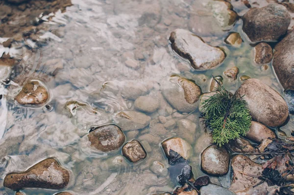 Harika bir manzara su