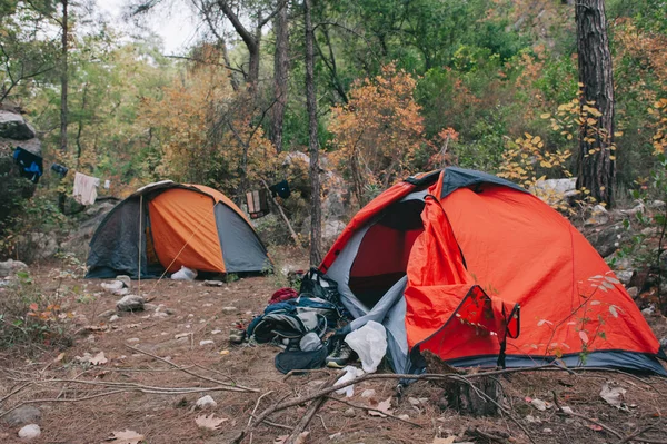 Camping tält i tallskog — Stockfoto