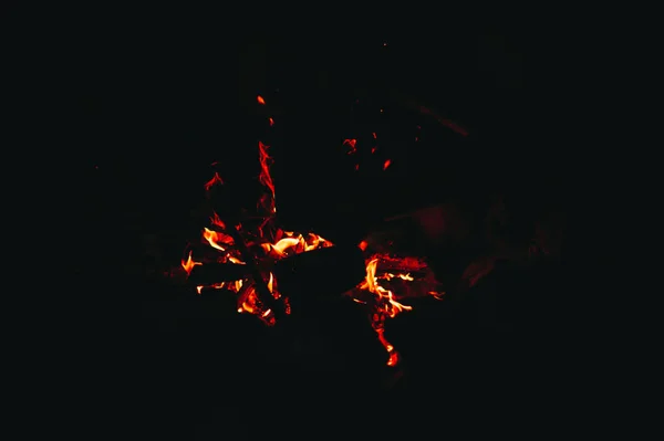 Toeristische brand in het bos — Stockfoto