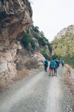 gerçekliğin doğası