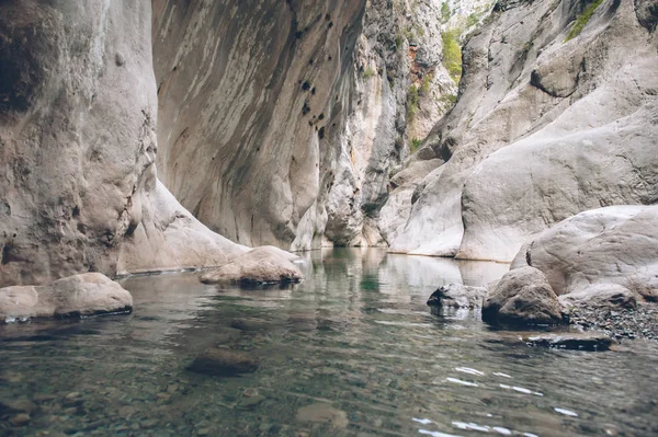 La naturaleza tal como es —  Fotos de Stock