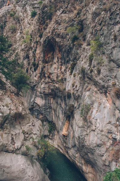 La naturaleza tal como es — Foto de Stock