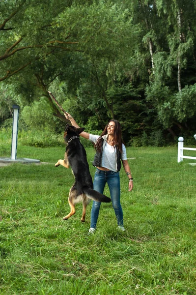 The girl and her gorgeous German shepherd — Stock Photo, Image