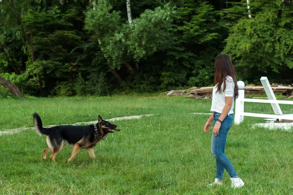 The girl and her gorgeous German shepherd — Stock Photo, Image