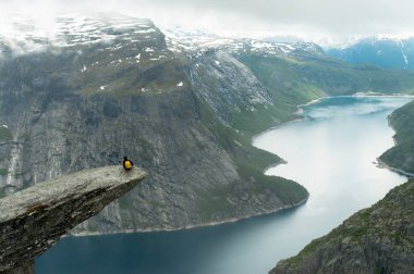Trolltunga Norveç'te muhteşem güzelliktir