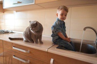mutlu bebek ile kedi masaya oturma