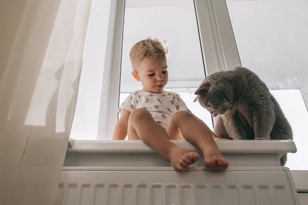 Малыш и его кот — стоковое фото