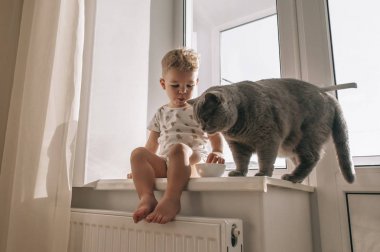 Evde beslenen hayvan kedi onun ve çocuk