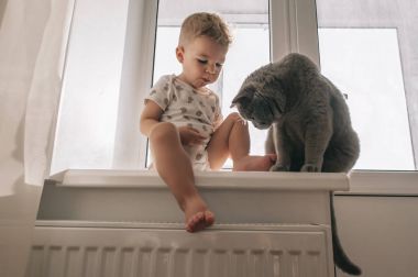 Evde beslenen hayvan kedi onun ve çocuk