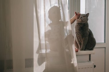 Evde beslenen hayvan kedi onun ve çocuk