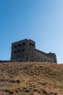 doğa en iyi yaratıktır