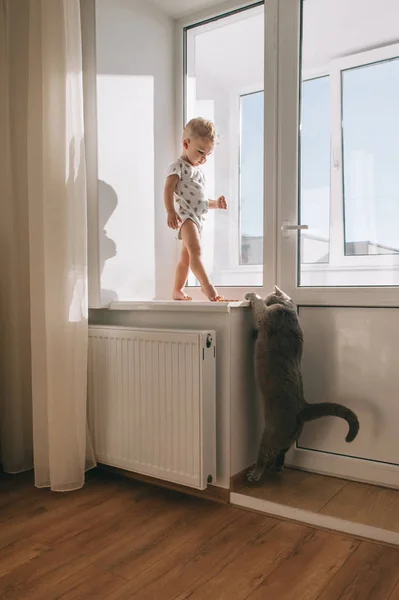 Kid y su gato mascota — Foto de Stock
