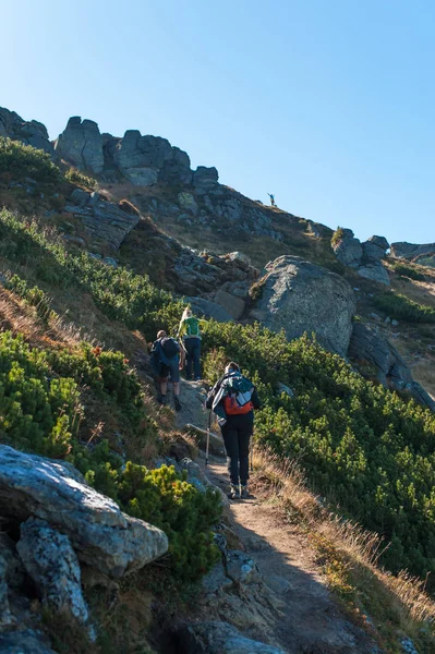 En lycklig man bland natur — Stockfoto