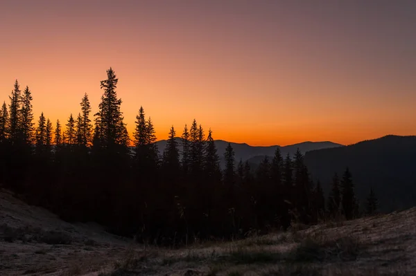 Природа, ліс, гори і захід сонця — стокове фото