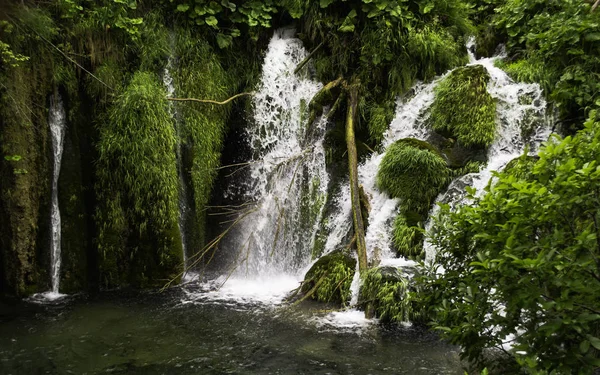 Şelalenin plitvice Milli Parkı