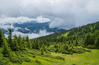 Dağların tepesinde