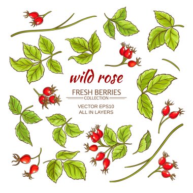 köpek rose hips vektör set