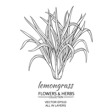 limon vektör çizim