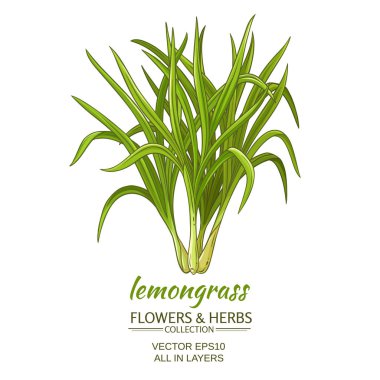 limon vektör çizim