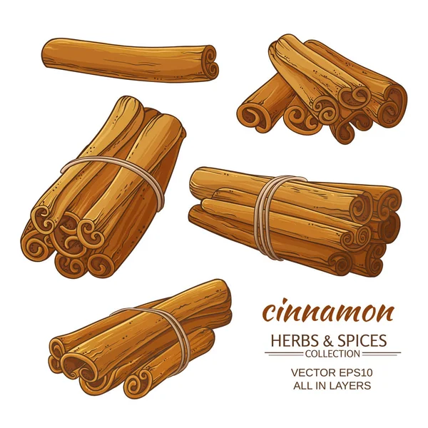 Cinnamon vector set — Stock Vector