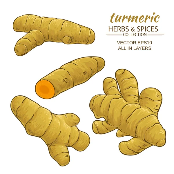 Turmeric roots set — Stock Vector