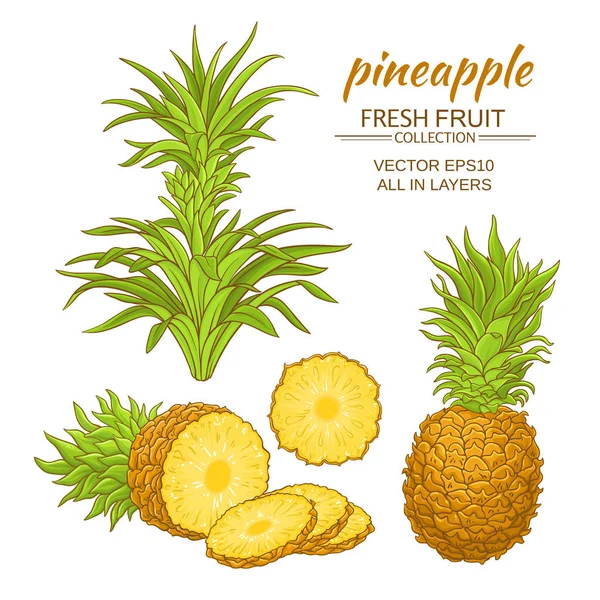 Ananas vector set — Stockvector