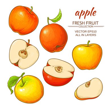 Apple vektör set