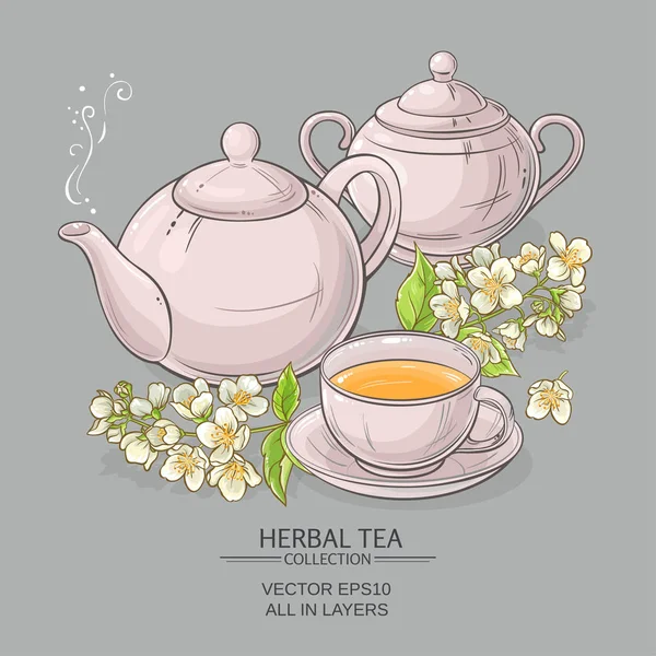Yasemin çayı vektör çizim — Stok Vektör