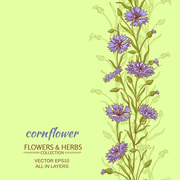 Fundo do vetor cornflower —  Vetores de Stock
