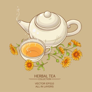 Calendula çay vektör çizim