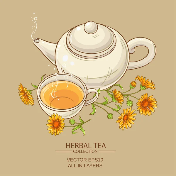 Ilustração do vetor chá calêndula —  Vetores de Stock