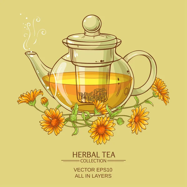 Calendula te vektorillustration — Stock vektor