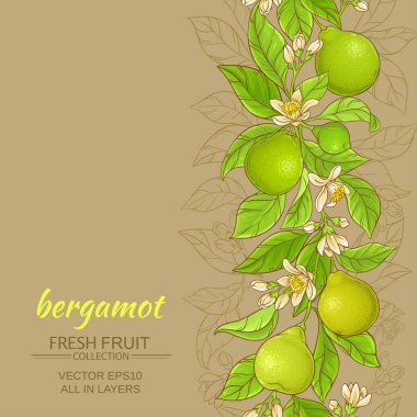 Bergamot vektör arka plan