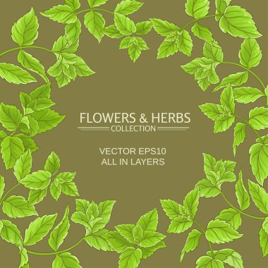 Nane vektör çerçeve