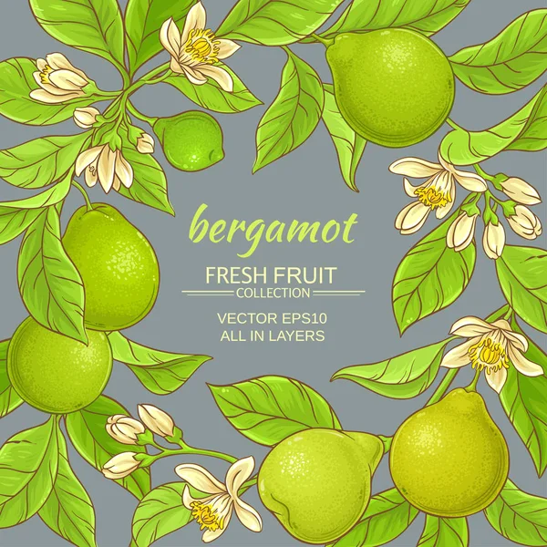 Bergamot vector frame — Stock Vector