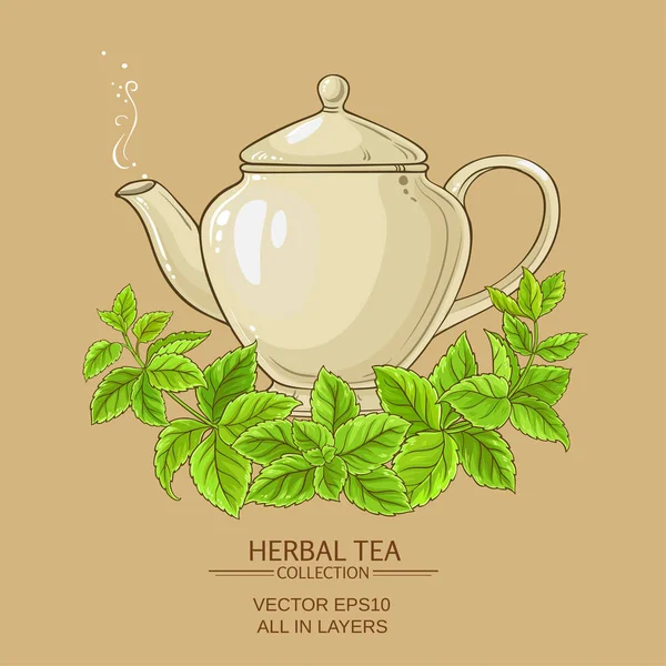 Βότανα Τσάι Μελίσσα — Διανυσματικό Αρχείο