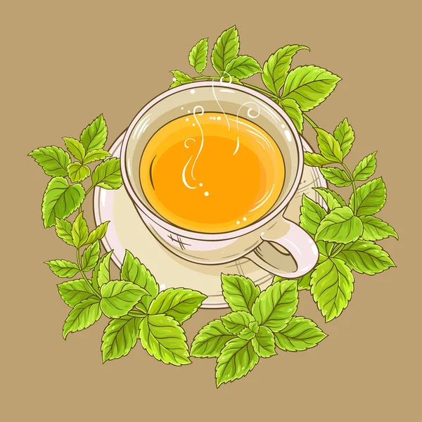 Xícara de chá melissa —  Vetores de Stock