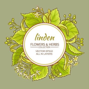 ıhlamur vektör çerçeve