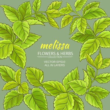 Melissa vektör çerçeve