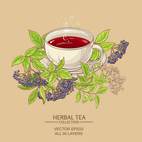 Elderberry 차 한잔 — 스톡 벡터