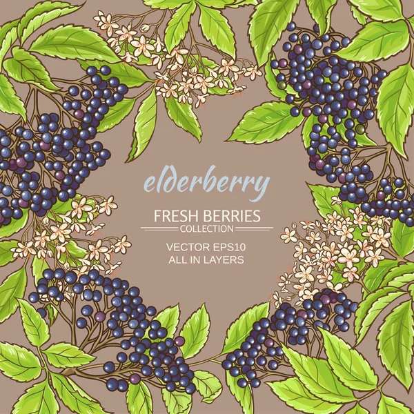 Elderberry διάνυσμα καρέ — Διανυσματικό Αρχείο