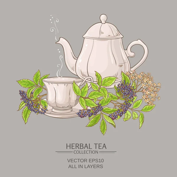 Tazza di tè di sambuco e teiera — Vettoriale Stock