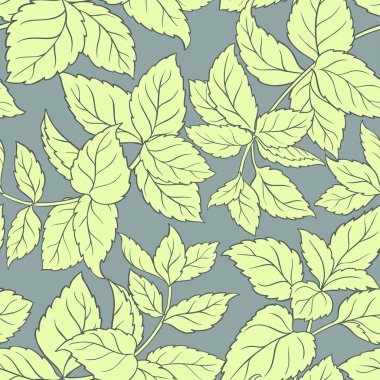 Melissa vektör desen