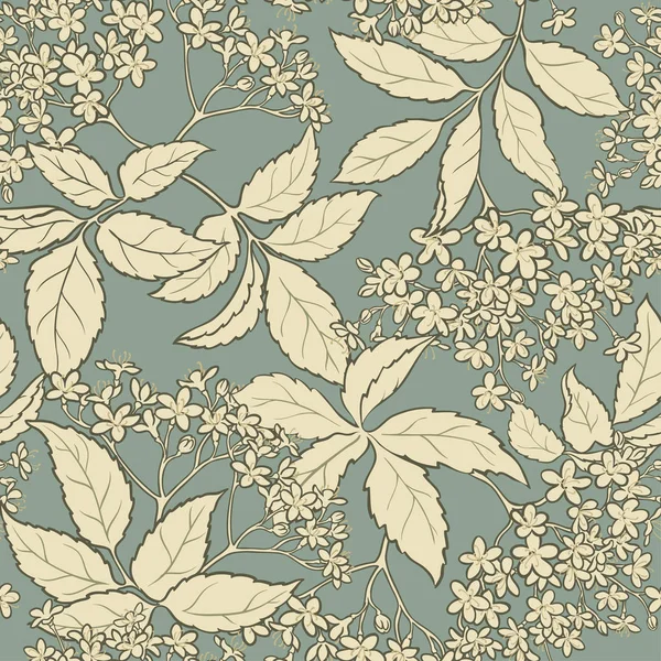 Motif vectoriel de fleurs de sureau — Image vectorielle