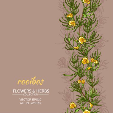 rooibos vector background clipart