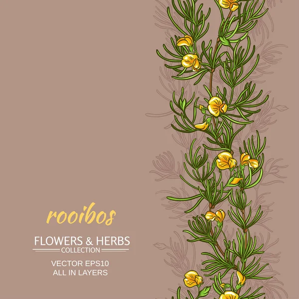 Rooibos vector fondo — Vector de stock