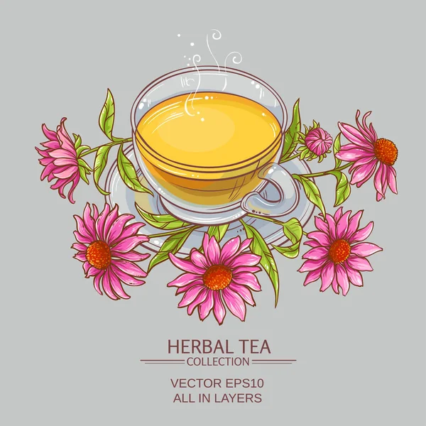 Taza de té de equinácea — Vector de stock