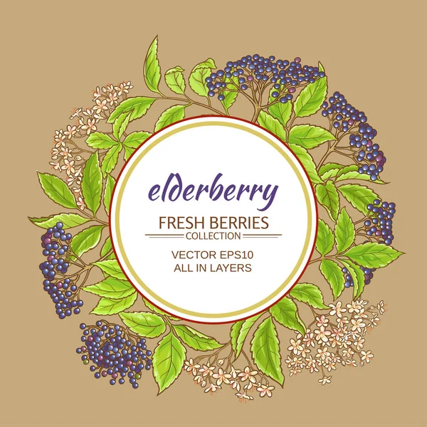 Elderberry 벡터 프레임 — 스톡 벡터