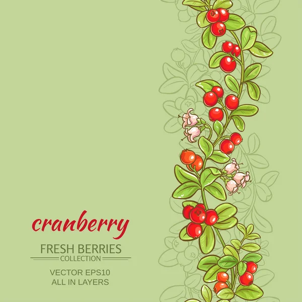Fundo vetor cranberry —  Vetores de Stock