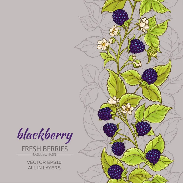 Blackberry fond vectoriel — Image vectorielle